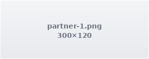 Partner logo 1