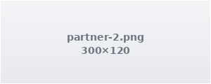 Partner logo 2