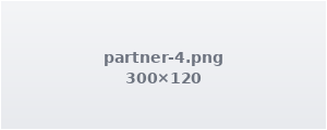 Partner logo 4