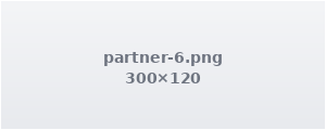 Partner logo 6
