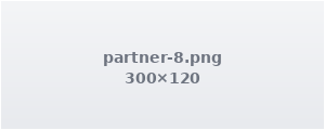 Partner logo 8